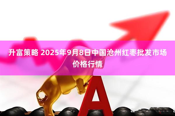 升富策略 2025年9月8日中国沧州红枣批发市场价格行情
