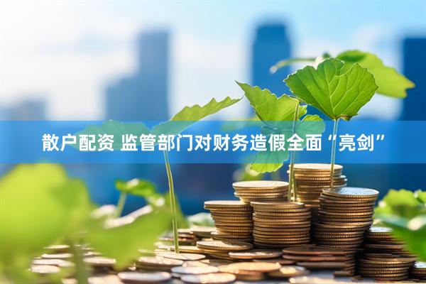 散户配资 监管部门对财务造假全面“亮剑”