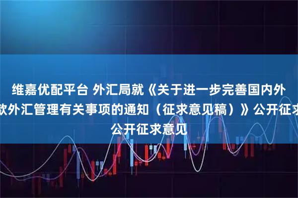 维嘉优配平台 外汇局就《关于进一步完善国内外汇贷款外汇管理有关事项的通知（征求意见稿）》公开征求意见