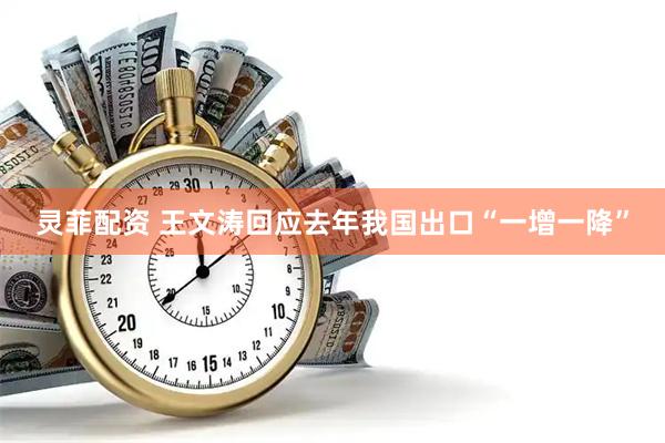 灵菲配资 王文涛回应去年我国出口“一增一降”