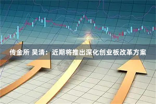 传金所 吴清：近期将推出深化创业板改革方案